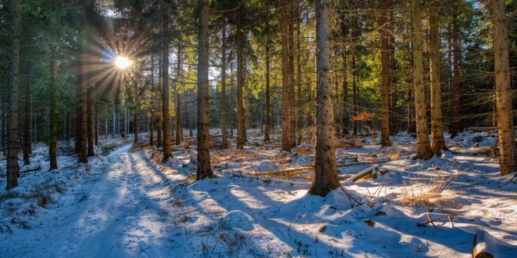 six-tips-avoiding-pitfalls-recreational-property