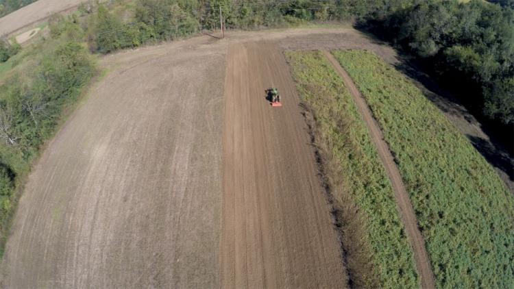 warm-season-planting