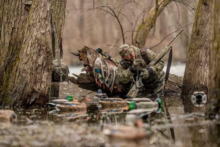 duck-hunter-with-mallards
