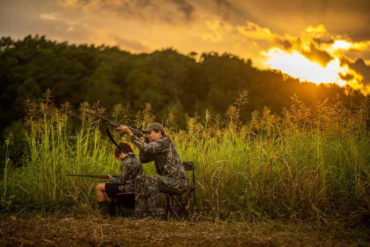 dove-hunt-shoo