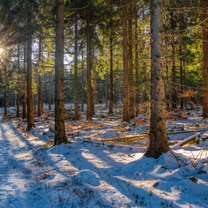 six-tips-avoiding-pitfalls-recreational-property