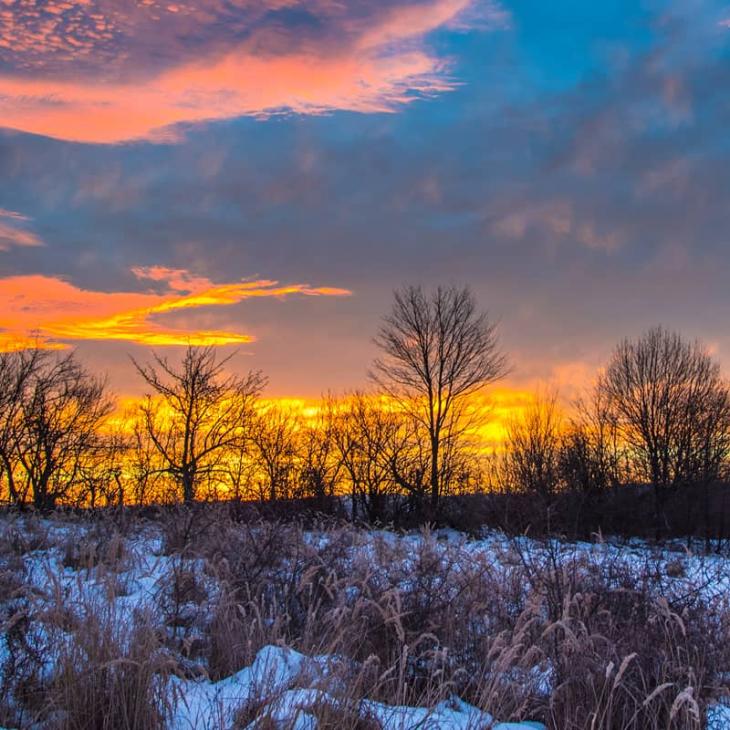 steps-for-land-buyers-to-win-sellers-market