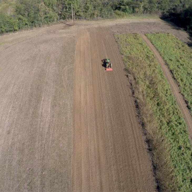 warm-season-planting