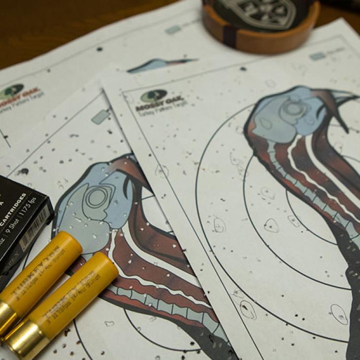 developing-shotgun-patterns