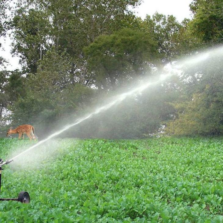 Food-Plot-Sprinkler