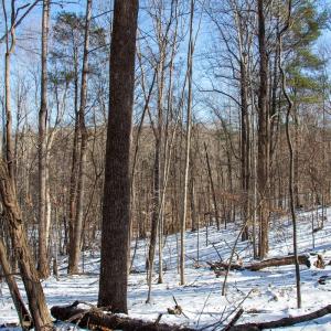 Photo #23 of Off Kemp Ford Rd., Union Hall, VA 7.1 acres